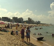 강릉 37.3℃, 29년 만의 더위...밤낮으로 '펄펄'