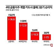 1등마저도…실적 주춤한 금융지주 카드사들 "쉽지 않네"