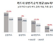 비용에 발목 잡힌 카드…순익 20% 넘게 까먹었다