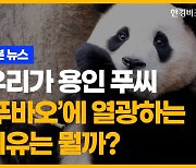 우리가 용인 푸씨 ‘푸바오’에 열광하는 이유는 뭘까? [송유리의 1분뉴스]