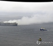 전기차 500대 선적 운반선 사흘째 '활활'