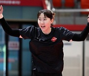 Korean volleyball returns this weekend for the KOVO Cup