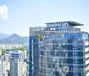 ‘자회사 부자’ 농협금융 순익, 은행은 5등이지만 그룹은 4등