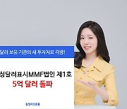 '삼성 달러표시MMF법인제1호 펀드', 설정액 5억달러 넘어