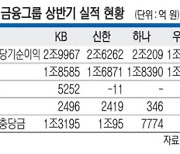 4대금융 실적희비, 비은행 계열사 성적이 갈랐다