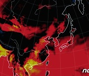 '경산 38.1도·양평 37.9도'…'숨이 턱' 올들어 가장 더워(종합)