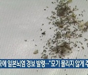 전국에 일본뇌염 경보 발령…“모기 물리지 않게 주의”