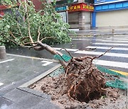 태풍 '독수리' 북상…중국 12년만 폭우 적색경보