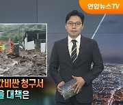 기후변화의 값비싼 청구서…반복되는 비극 막을 대책은 [탐사보도 뉴스프리즘]