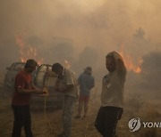 Greece Wildfires Photo Gallery