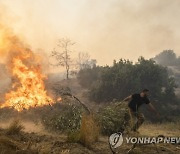 Greece Wildfires Photo Gallery