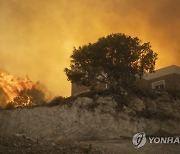 Greece Wildfires Photo Gallery