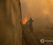 Greece Wildfires Photo Gallery