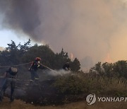 Greece Wildfires Photo Gallery