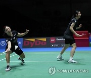 Japan Open Badminton