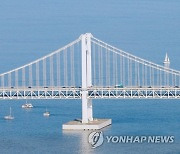 광안대교 위 블랙이글스