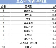 코스닥 주간 기관 순매도 1위 ‘엘앤에프’