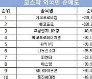 코스닥 주간 개인 순매도 1위 ‘에코프로비엠’