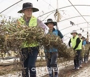 NH농협은행 임직원, 집중호우 피해 농가 수해복구 동참