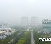 [오늘의 날씨] 대전·충남(30일, 일)…가시거리 1km 안개, 일부 소나기