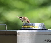 물맛, 꿀맛!