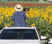 정열 찍는 열정