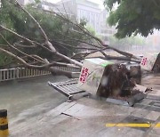 중국, 태풍 '독수리' 비상...12년 만에 폭우 적색경보