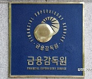 금감원, 영문 전자공시시스템 개선·정식 가동…"코리아 디스카운트 해소 기대"