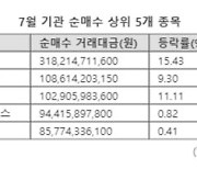 개인 '포홀' 4.2조 살 때..기관은 저평가 실적주 샀다