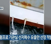 잠수 펌프로 기관실 선저폐수 유출한 선장 적발