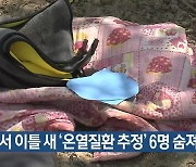 경북서 이틀 새 ‘온열질환 추정’ 6명 숨져