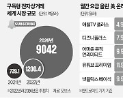 구독플레이션 시대…'디지털 품위유지비' 月 30만원