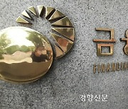 금감원 “증권사 CFD 업무 전반에서 미흡한 영업 행태 확인”