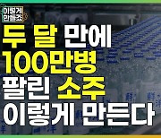 출시 2달 만에 100만병 팔린 소주 이렇게 만든다 [매경5F]