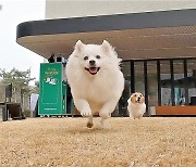 “펫 없으면 서러워 살겠나” 커피숍의 특별한 반려동물 혜택 [소비의 달인]