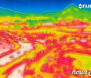 주말 '살인 폭염'에 11명 사망, 4명 익사…다음주도 '찜통더위'