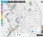 평택 호우경보, 서울 서남권·안양·세종 등 호우주의보…전국 곳곳 국지성 호우