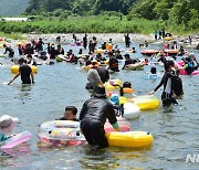 계속되는 폭염에 계곡 찾은 시민들