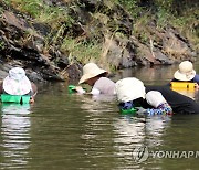 폭염 속 다슬기 잡기 삼매경