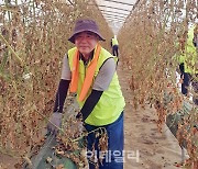 [포토] 수해피해 복구 작업하는 신영호 농협하나로유통 대표