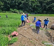 신한금융 임직원 봉사단, 충청 수해 피해 지역서 복구 작업 '구슬땀'