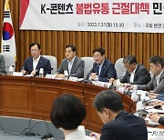 K-콘텐츠 불법유통 근절대책 민당정협의회