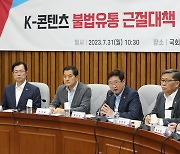 당정, K-콘텐츠 불법유통 '누누티비' 방지대책 논의