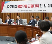 당정, K-콘텐츠 불법유통 '누누티비' 방지대책 논의