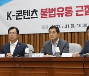 [속보] 당정 "콘텐츠 불법 유통, 징벌적손배제 도입·양형기준 상향"