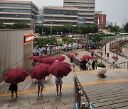 호우 경보에 발 동동→버건디 우산 행진…귀가도 책임진다, 경기 후에도 이어진 '특급 팬서비스'