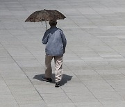 낮 최고 35도…살인 폭염, 뇌·장기도 망가뜨린다