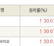 [fnRASSI]오늘의 상한가, 조선내화 30.0% ↑