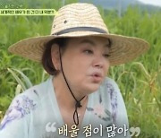 [TVis] ‘회장님네’ 김수미, 전 부인 윤여정 언급하는 조영남에 “언니 얘기하지마”