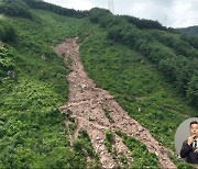 임도·벌목지에서 시작한 산사태‥산림 정책 바꿔야